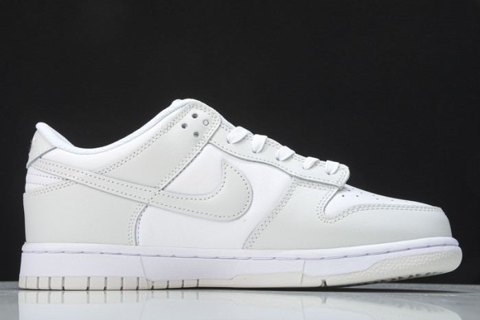 Nike Dunk Low "Photon Dust" DD1503-103