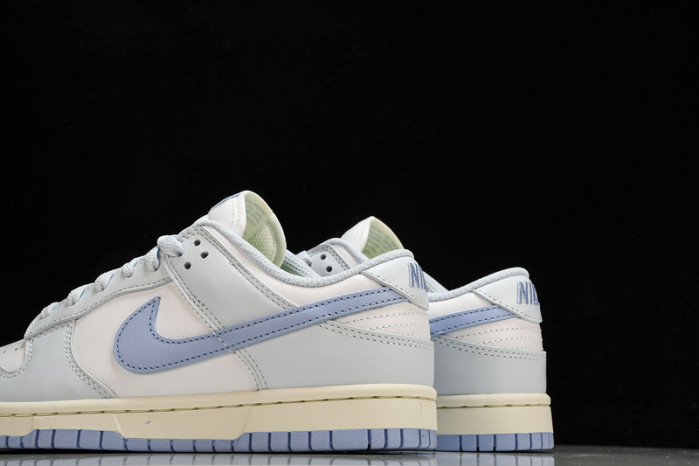 Nike Dunk Low NEXT NATURE DD1873-400