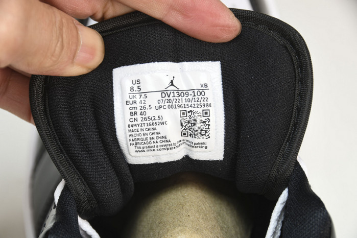 Air Jordan 1 Low “Concord”  DV1309-100