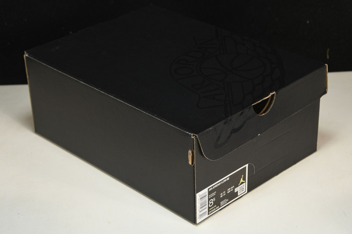 Air Jordan 1 Low “Concord”  DV1309-100