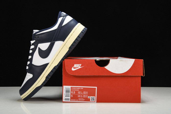 Nike Dunk Low DD1503-115