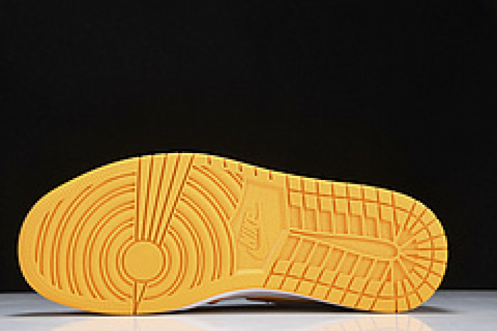 Nike SB Low 553558-701