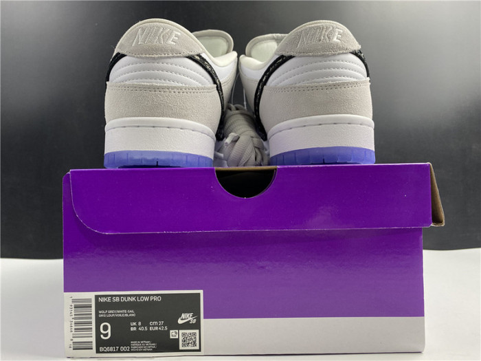 NIKE SB DUNK LOW X D10R